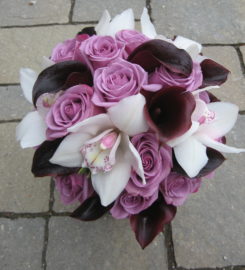 Springhill Flowers