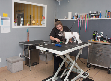 Wagging Tails Pet Resort