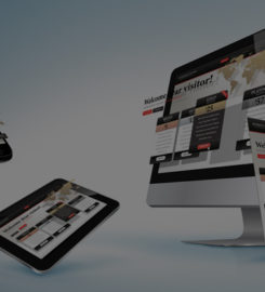 Binary Data Pvt Ltd | Best IT company in Mohali