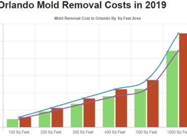 All US Mold Removal Orlando FL – Mold Remediation Services