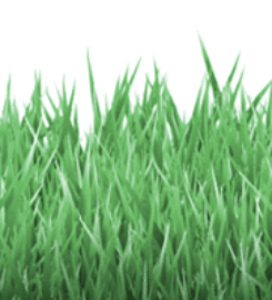 MyLawnCare Lawn Mowing Sydney