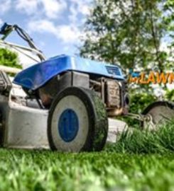 MyLawnCare Lawn Mowing Sydney
