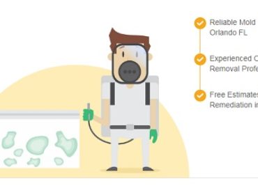 All US Mold Removal Orlando FL – Mold Remediation Services