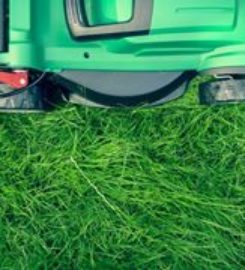 MyLawnCare Lawn Mowing Sydney