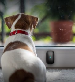 SadoTech Doorbells #1 Best Wireless Doorbell in the USA