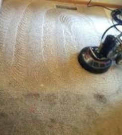ViperTech Carpet Cleaning – The Woodlands
