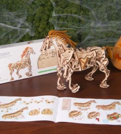 Amazing puzzle