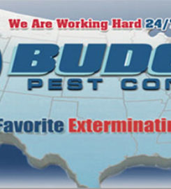 Budget Pest Control, Inc.
