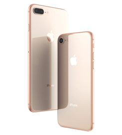 Apple Experts