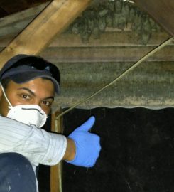 Budget Pest Control, Inc.