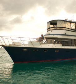Caribbean Affordable Charter