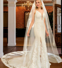 Here Comes the Bride
