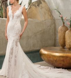 Here Comes the Bride