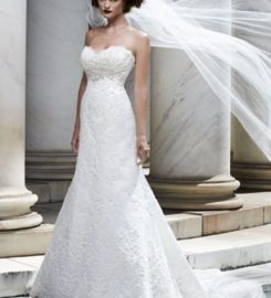 Here Comes the Bride