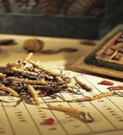 Giordano Acupuncture