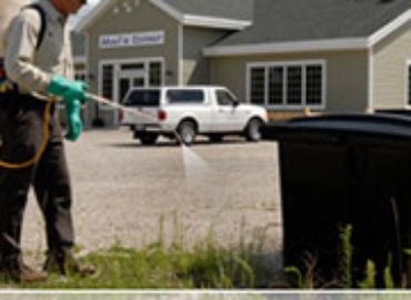 North Essex Pest Control