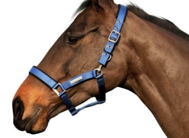 Church Equestrian