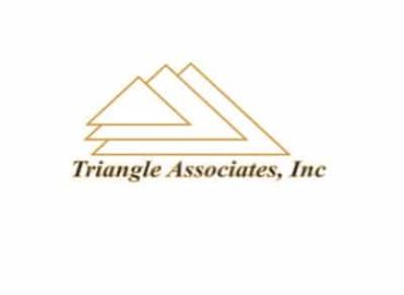 Triangle Associates Inc