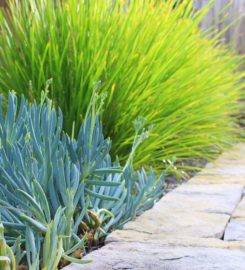 Stone Lotus Landscapes Pty Ltd