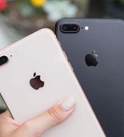 Apple Experts