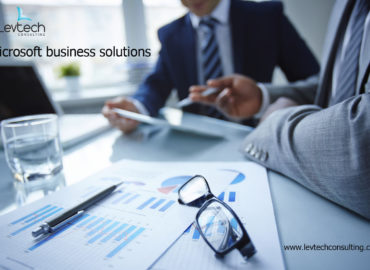 Levtech Consulting