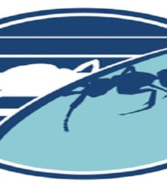 Budget Pest Control, Inc.