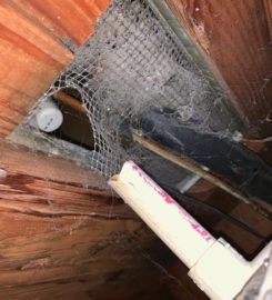 Sf Rodent Control