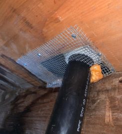 Sf Rodent Control
