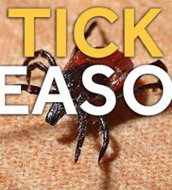 Budget Pest Control, Inc.