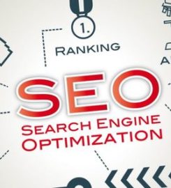 SEO Developers