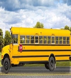 School Bus & Limo Insurance