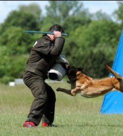 Armor K9