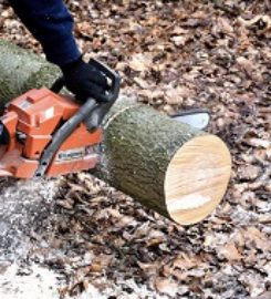 Elk Grove Tree Care