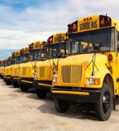 School Bus & Limo Insurance