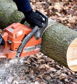 SWFL Tree Service Wesley Chapel