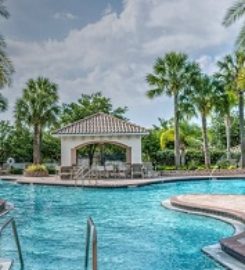 Sarasota Pool Builders