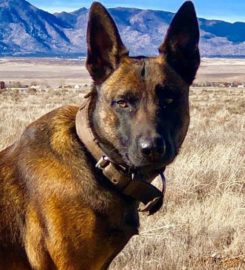 Armor K9