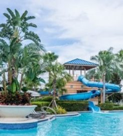 Sarasota Pool Builders