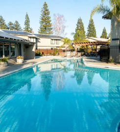 Almondwood Apartments
