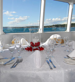Fusion Cruises