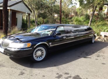 Davine Limousines