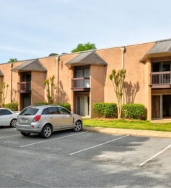 Apartments for Rent
