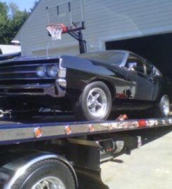 Steve Geyers Towing, Transport & RECOVERY