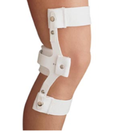 Alba Prosthetic Supplies