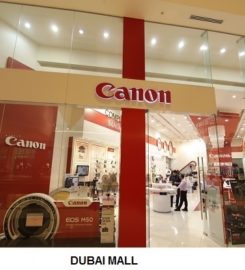 National Store L.L.C