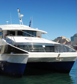 Fusion Cruises