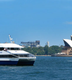Fusion Cruises