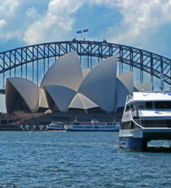 Fusion Cruises