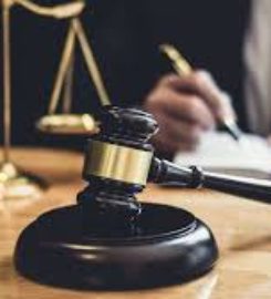 Last Will And Testament Lawyer