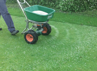 Bellevue Lawn Care & Landscaping